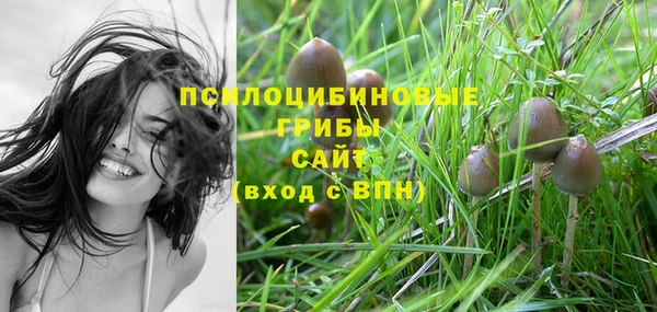 спайс Алзамай