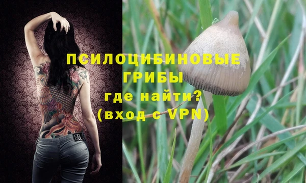 бошки Алексин