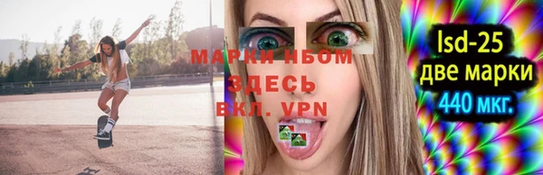 бошки Алексин