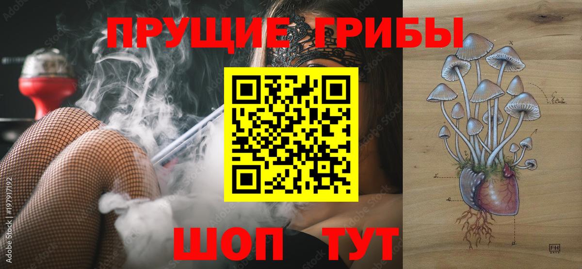 Галлюциногенные грибы Cubensis  наркота  Глазов  Вход с VPN 